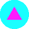 logo (magenta triangle inside a filled cyan circle)